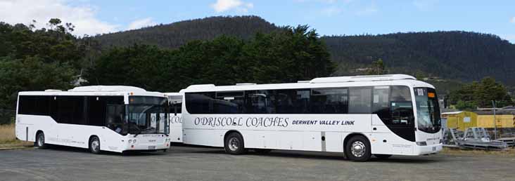 Derwent Valley MAN 16.240 Custom CB30 13 & Mercedes OH1830 Mills-Tui Orbit 20